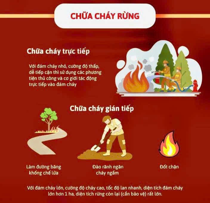 Hướng dẫn cách chữa cháy rừng khi mới phát sinh
