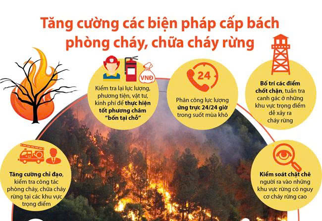 Chủ động phòng chống cháy rừng trong thời tiết nắng nóng kéo dài trên địa bàn xã Sam Mứn. 